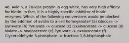 46. Avidin, a 70-kDa protein in egg white, has very high affinity for biotin. In fact, it is a highly specific inhibitor of biotin enzymes. Which of the following conversions would be blocked by the addition of avidin to a cell homogenate? (a) Glucose -> pyruvate (b) Pyruvate -> glucose (c) Oxaloacetate -> glucose (d) Malate -> oxaloacetate (e) Pyruvate -> oxaloacetate (f) Glyceraldehyde 3-phosphate -> fructose 1,6-bisphosphate