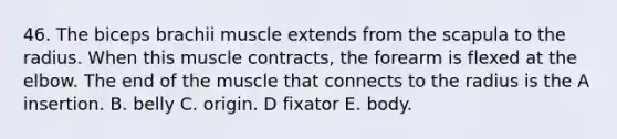 46. The biceps brachii muscle extends from the scapula to the radius. When this muscle contracts, the forearm is flexed at the elbow. The end of the muscle that connects to the radius is the A insertion. B. belly C. origin. D fixator E. body.