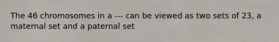 The 46 chromosomes in a --- can be viewed as two sets of 23, a maternal set and a paternal set