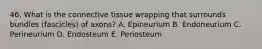 46. What is the connective tissue wrapping that surrounds bundles (fascicles) of axons? A. Epineurium B. Endoneurium C. Perineurium D. Endosteum E. Periosteum