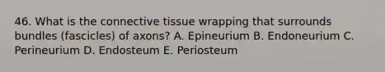 46. What is the connective tissue wrapping that surrounds bundles (fascicles) of axons? A. Epineurium B. Endoneurium C. Perineurium D. Endosteum E. Periosteum