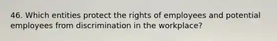 46. Which entities protect the rights of employees and potential employees from discrimination in the workplace?