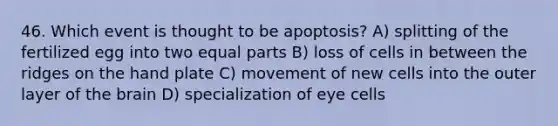 46. Which event is thought to be apoptosis? A) splitting of the fertilized egg into two equal parts B) loss of cells in between the ridges on the hand plate C) movement of new cells into the outer layer of the brain D) specialization of eye cells