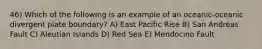 46) Which of the following is an example of an oceanic-oceanic divergent plate boundary? A) East Pacific Rise B) San Andreas Fault C) Aleutian Islands D) Red Sea E) Mendocino Fault