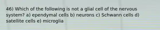 46) Which of the following is not a glial cell of the nervous system? a) ependymal cells b) neurons c) Schwann cells d) satellite cells e) microglia