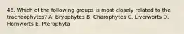 46. Which of the following groups is most closely related to the tracheophytes? A. Bryophytes B. Charophytes C. Liverworts D. Hornworts E. Pterophyta