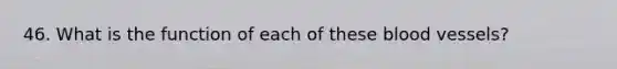 46. What is the function of each of these blood vessels?