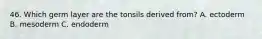 46. Which germ layer are the tonsils derived from? A. ectoderm B. mesoderm C. endoderm