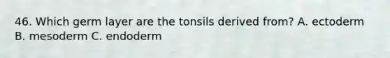 46. Which germ layer are the tonsils derived from? A. ectoderm B. mesoderm C. endoderm