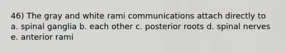46) The gray and white rami communications attach directly to a. spinal ganglia b. each other c. posterior roots d. spinal nerves e. anterior rami