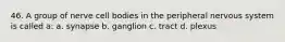 46. A group of nerve cell bodies in the peripheral nervous system is called a: a. synapse b. ganglion c. tract d. plexus