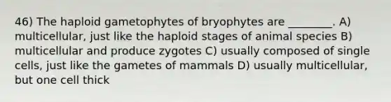 46) The haploid gametophytes of bryophytes are ________. A) multicellular, just like the haploid stages of animal species B) multicellular and produce zygotes C) usually composed of single cells, just like the gametes of mammals D) usually multicellular, but one cell thick