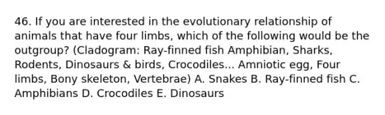 46. If you are interested in the evolutionary relationship of animals that have four limbs, which of the following would be the outgroup? (Cladogram: Ray-finned fish Amphibian, Sharks, Rodents, Dinosaurs & birds, Crocodiles... Amniotic egg, Four limbs, Bony skeleton, Vertebrae) A. Snakes B. Ray-finned fish C. Amphibians D. Crocodiles E. Dinosaurs