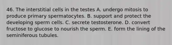 46. The interstitial cells in the testes A. undergo mitosis to produce primary spermatocytes. B. support and protect the developing sperm cells. C. secrete testosterone. D. convert fructose to glucose to nourish the sperm. E. form the lining of the seminiferous tubules.