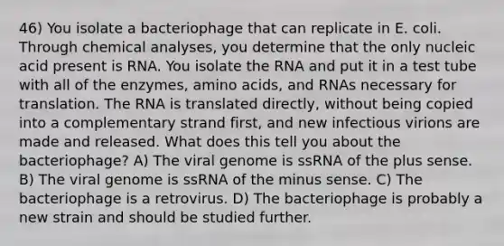 46) You isolate a bacteriophage that can replicate in E. coli. Through chemical analyses, you determine that the only nucleic acid present is RNA. You isolate the RNA and put it in a test tube with all of the enzymes, <a href='https://www.questionai.com/knowledge/k9gb720LCl-amino-acids' class='anchor-knowledge'>amino acids</a>, and RNAs necessary for translation. The RNA is translated directly, without being copied into a complementary strand first, and new infectious virions are made and released. What does this tell you about the bacteriophage? A) The viral genome is ssRNA of the plus sense. B) The viral genome is ssRNA of the minus sense. C) The bacteriophage is a retrovirus. D) The bacteriophage is probably a new strain and should be studied further.