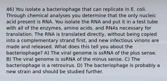 46) You isolate a bacteriophage that can replicate in E. coli. Through chemical analyses you determine that the only nucleic acid present is RNA. You isolate the RNA and put it in a test tube with all of the enzymes, amino acids, and RNAs necessary for translation. The RNA is translated directly, without being copied into a complementary strand first, and new infectious virions are made and released. What does this tell you about the bacteriophage? A) The viral genome is ssRNA of the plus sense. B) The viral genome is ssRNA of the minus sense. C) The bacteriophage is a retrovirus. D) The bacteriophage is probably a new strain and should be studied further.