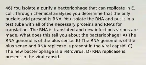 46) You isolate a purify a bacteriophage that can replicate in E. coli. Through chemical analyses you determine that the only nucleic acid present is RNA. You isolate the RNA and put it in a test tube with all of the necessary proteins and RNAs for translation. The RNA is translated and new infectious virions are made. What does this tell you about the bacteriophage? A) The RNA genome is of the plus sense. B) The RNA genome is of the plus sense and RNA replicase is present in the viral capsid. C) The new bacteriophage is a retrovirus. D) RNA replicase is present in the viral capsid.