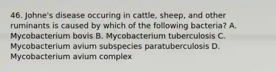 46. Johne's disease occuring in cattle, sheep, and other ruminants is caused by which of the following bacteria? A. Mycobacterium bovis B. Mycobacterium tuberculosis C. Mycobacterium avium subspecies paratuberculosis D. Mycobacterium avium complex