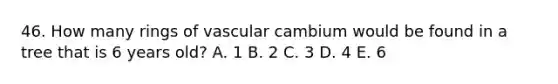 46. How many rings of vascular cambium would be found in a tree that is 6 years old? A. 1 B. 2 C. 3 D. 4 E. 6