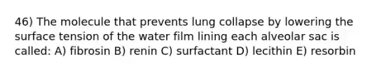 46) The molecule that prevents lung collapse by lowering the surface tension of the water film lining each alveolar sac is called: A) fibrosin B) renin C) surfactant D) lecithin E) resorbin