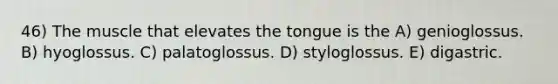 46) The muscle that elevates the tongue is the A) genioglossus. B) hyoglossus. C) palatoglossus. D) styloglossus. E) digastric.