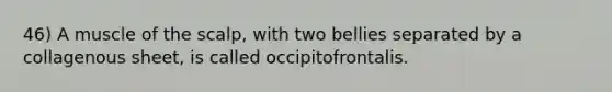 46) A muscle of the scalp, with two bellies separated by a collagenous sheet, is called occipitofrontalis.