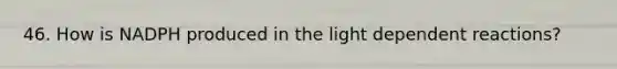 46. How is NADPH produced in the light dependent reactions?