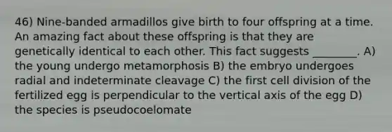 46) Nine-banded armadillos give birth to four offspring at a time. An amazing fact about these offspring is that they are genetically identical to each other. This fact suggests ________. A) the young undergo metamorphosis B) the embryo undergoes radial and indeterminate cleavage C) the first cell division of the fertilized egg is perpendicular to the vertical axis of the egg D) the species is pseudocoelomate