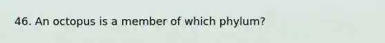 46. An octopus is a member of which phylum?