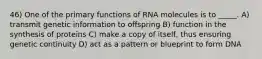 46) One of the primary functions of RNA molecules is to _____. A) transmit genetic information to offspring B) function in the synthesis of proteins C) make a copy of itself, thus ensuring genetic continuity D) act as a pattern or blueprint to form DNA