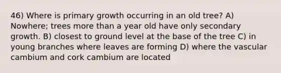 46) Where is primary growth occurring in an old tree? A) Nowhere; trees more than a year old have only secondary growth. B) closest to ground level at the base of the tree C) in young branches where leaves are forming D) where the vascular cambium and cork cambium are located