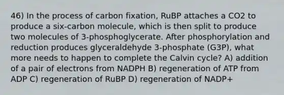 46) In the process of carbon fixation, RuBP attaches a CO2 to produce a six-carbon molecule, which is then split to produce two molecules of 3-phosphoglycerate. After phosphorylation and reduction produces glyceraldehyde 3-phosphate (G3P), what more needs to happen to complete the Calvin cycle? A) addition of a pair of electrons from NADPH B) regeneration of ATP from ADP C) regeneration of RuBP D) regeneration of NADP+