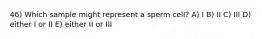 46) Which sample might represent a sperm cell? A) I B) II C) III D) either I or II E) either II or III