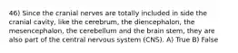 46) Since the cranial nerves are totally included in side the cranial cavity, like the cerebrum, the diencephalon, the mesencephalon, the cerebellum and the brain stem, they are also part of the central nervous system (CNS). A) True B) False