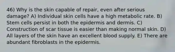 46) Why is the skin capable of repair, even after serious damage? A) Individual skin cells have a high metabolic rate. B) Stem cells persist in both the epidermis and dermis. C) Construction of scar tissue is easier than making normal skin. D) All layers of the skin have an excellent blood supply. E) There are abundant fibroblasts in the epidermis.