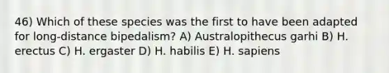 46) Which of these species was the first to have been adapted for long-distance bipedalism? A) Australopithecus garhi B) H. erectus C) H. ergaster D) H. habilis E) H. sapiens