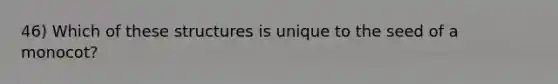 46) Which of these structures is unique to the seed of a monocot?