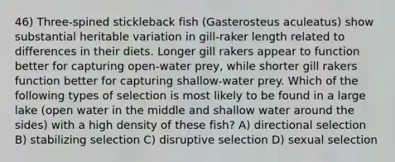 46) Three-spined stickleback fish (Gasterosteus aculeatus) show substantial heritable variation in gill-raker length related to differences in their diets. Longer gill rakers appear to function better for capturing open-water prey, while shorter gill rakers function better for capturing shallow-water prey. Which of the following types of selection is most likely to be found in a large lake (open water in the middle and shallow water around the sides) with a high density of these fish? A) directional selection B) stabilizing selection C) disruptive selection D) sexual selection