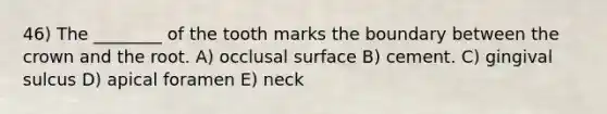 46) The ________ of the tooth marks the boundary between the crown and the root. A) occlusal surface B) cement. C) gingival sulcus D) apical foramen E) neck