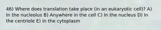 46) Where does translation take place (in an eukaryotic cell)? A) In the nucleolus B) Anywhere in the cell C) In the nucleus D) In the centriole E) In the cytoplasm