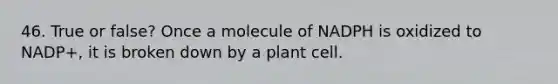 46. True or false? Once a molecule of NADPH is oxidized to NADP+, it is broken down by a plant cell.