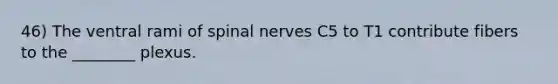 46) The ventral rami of spinal nerves C5 to T1 contribute fibers to the ________ plexus.