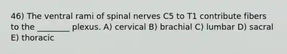 46) The ventral rami of <a href='https://www.questionai.com/knowledge/kyBL1dWgAx-spinal-nerves' class='anchor-knowledge'>spinal nerves</a> C5 to T1 contribute fibers to the ________ plexus. A) cervical B) brachial C) lumbar D) sacral E) thoracic