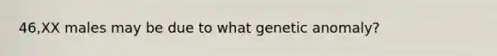 46,XX males may be due to what genetic anomaly?