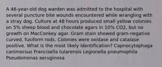 A 46-year-old dog warden was admitted to the hospital with several puncture bite wounds encountered while wrangling with a stray dog. Culture at 48 hours produced small yellow colonies on 5% sheep blood and chocolate agars in 10% CO2, but no growth on MacConkey agar. Gram stain showed gram-negative curved, fusiform rods. Colonies were oxidase and catalase positive. What is the most likely identification? Capnocytophaga canimorsus Francisella tularensis Legionella pneumophila Pseudomonas aeruginosa