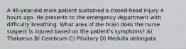 A 46-year-old male patient sustained a closed-head injury 4 hours ago. He presents to the emergency department with difficulty breathing. What area of the brain does the nurse suspect is injured based on the patient's symptoms? A) Thalamus B) Cerebrum C) Pituitary D) Medulla oblongata