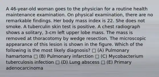 A 46-year-old woman goes to the physician for a routine health maintenance examination. On physical examination, there are no remarkable findings. Her body mass index is 22. She does not smoke. A tuberculin skin test is positive. A chest radiograph shows a solitary, 3-cm left upper lobe mass. The mass is removed at thoracotomy by wedge resection. The microscopic appearance of this lesion is shown in the figure. Which of the following is the most likely diagnosis? □ (A) Pulmonary hamartoma □ (B) Pulmonary infarction □ (C) Mycobacterium tuberculosis infection □ (D) Lung abscess □ (E) Primary adenocarcinoma