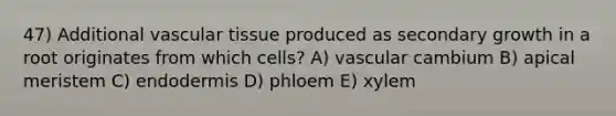 47) Additional vascular tissue produced as secondary growth in a root originates from which cells? A) vascular cambium B) apical meristem C) endodermis D) phloem E) xylem