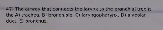 47) The airway that connects the larynx to the bronchial tree is the A) trachea. B) bronchiole. C) laryngopharynx. D) alveolar duct. E) bronchus.