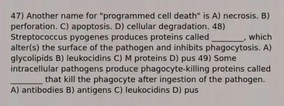 47) Another name for "programmed cell death" is A) necrosis. B) perforation. C) apoptosis. D) cellular degradation. 48) Streptococcus pyogenes produces proteins called ________, which alter(s) the surface of the pathogen and inhibits phagocytosis. A) glycolipids B) leukocidins C) M proteins D) pus 49) Some intracellular pathogens produce phagocyte-killing proteins called ________ that kill the phagocyte after ingestion of the pathogen. A) antibodies B) antigens C) leukocidins D) pus